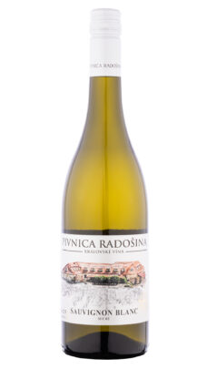 Sauvignon blanc, akostné, suché, 2025